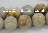 CFC65 15.5 inches 16mm round fossil coral beads wholesale