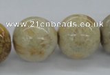 CFC67 15.5 inches 22mm round fossil coral beads wholesale