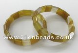 CGB3165 7.5 inches 12*15mm rectangle agate bracelets wholesale