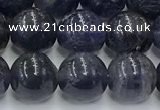 CIL128 15.5 inches 10mm round natural iolite beads wholesale