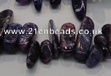 CKU52 15.5 inches 6*12mm - 9*27mm purple kunzite chips beads