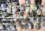 CLB1045 Top drilled 10*14mm faceted briolette labradorite beads