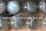 CLB1059 15.5 inches 10mm round labradorite gemstone beads