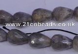 CLB503 15.5 inches 10*14mm faceted teardrop labradorite beads