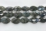 CLB798 20*28mm - 22*32mm faceted octagonal labradorite beads