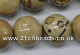 CLD52 15.5 inches 20mm round African leopard skin jasper beads