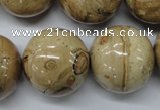 CLD53 15.5 inches 25mm round African leopard skin jasper beads