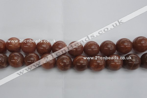 CMS1007 15.5 inches 18mm round AA grade moonstone gemstone beads
