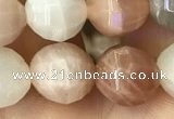 CMS1472 15.5 inches 10mm faceted round moonstone beads wholesale