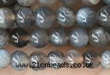 CMS2058 15.5 inches 4mm round moonstone gemstone beads