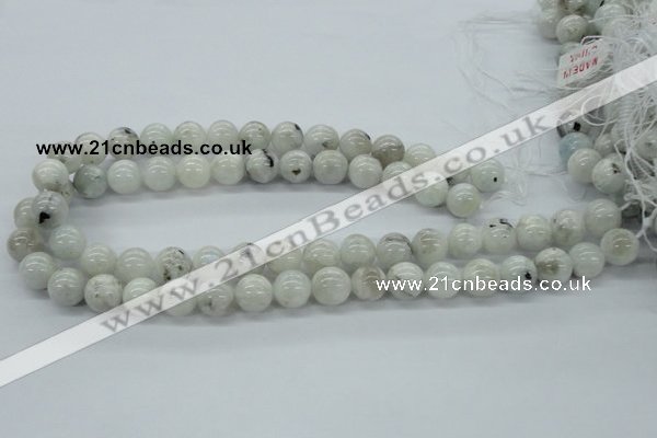 CMS206 15.5 inches 12mm round moonstone gemstone beads wholesale