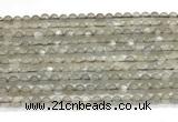 CMS2293 15 inches 4mm round grey moonstone beads wholesale