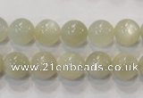 CMS312 15.5 inches 8mm round natural moonstone beads wholesale