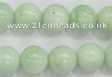 CMS406 15.5 inches 14mm round green moonstone beads wholesale