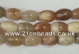 CMS511 15.5 inches 8*12mm rice moonstone beads wholesale
