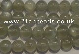 CMS652 15.5 inches 8mm round grey moonstone beads wholesale