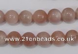 CMS754 15.5 inches 10mm round natural moonstone beads wholesale