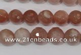 CMS765 15.5 inches 10mm faceted round natural moonstone beads
