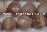 CMS769 15.5 inches 18mm faceted round natural moonstone beads