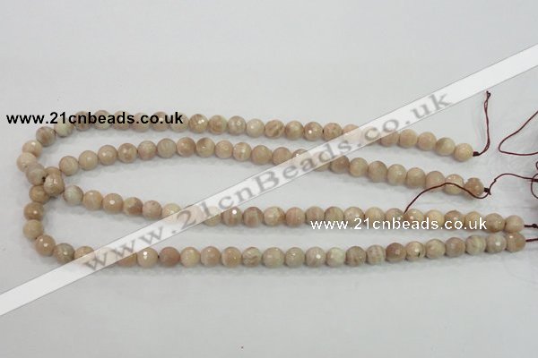 CMS83 15.5 inches 8mm faceted round moonstone gemstone beads