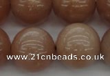 CMS936 15.5 inches 16mm round A grade moonstone gemstone beads