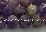CNA1013 15.5 inches 10mm faceted round dogtooth amethyst beads