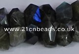 CNG2830 15.5 inches 10*14mm - 13*18mm faceted nuggets labradorite beads