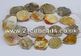 CNG3467 15.5 inches 30*35mm - 35*45mm freeform chrysanthemum agate beads