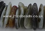 CNG5432 5*20mm - 8*25mm nuggets botswana agate gemstone beads