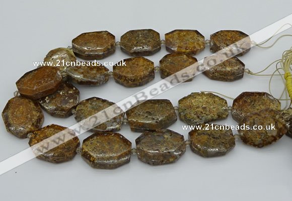 CNG5454 15.5 inches 20*30mm - 35*45mm faceted freeform opal beads