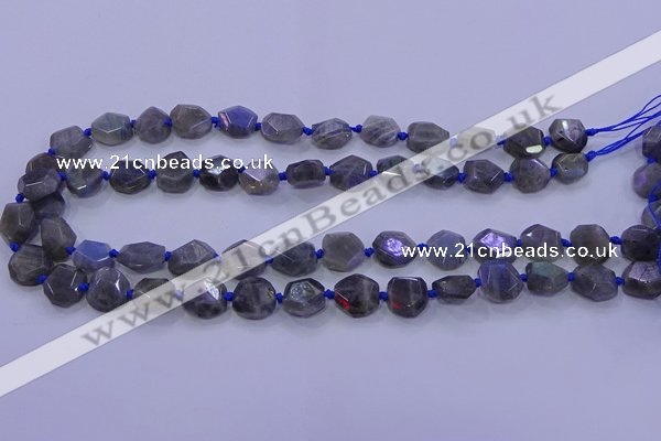 CNG5790 10*12mm - 10*14mm faceted freeform labradorite beads