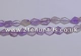 CNG6326 15.5 inches 14*18mm - 16*22mm freeform amethyst beads