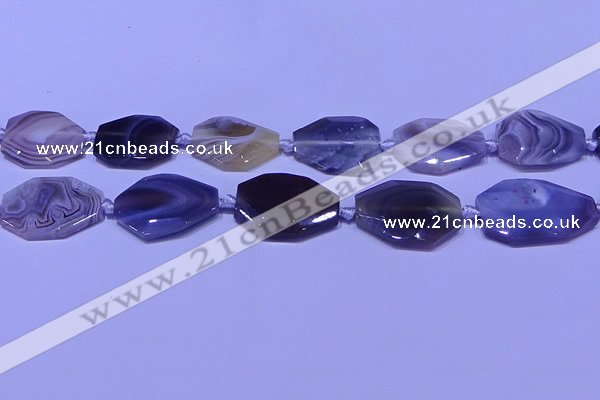 CNG7527 18*25mm - 25*35mm faceted freeform Botswana agate beads