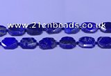 CNG7534 15.5 inches 18*25mm - 25*35mm faceted freeform lapis lazuli beads