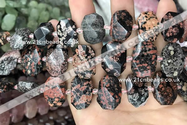 CNG7772 13*18mm - 15*25mm faceted freeform red snowflake obsidian beads