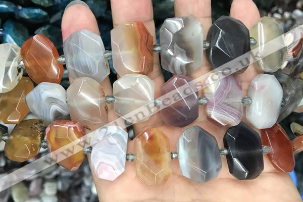 CNG7879 13*18mm - 15*25mm faceted freeform Botswana agate beads