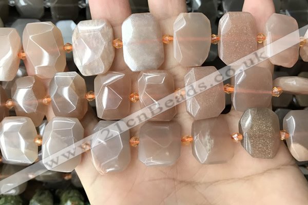 CNG7884 13*18mm - 15*25mm faceted freeform moonstone beads