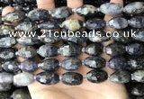 CNG8521 15.5 inches 10*16mm - 11*20mm faceted nuggets iolite beads