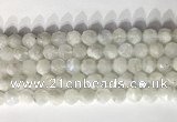 CNG9052 15.5 inches 10mm faceted nuggets white moonstone gemstone beads