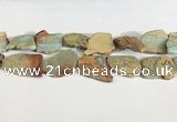CNS359 25*35mm - 35*45mm freefrom serpentine jasper slab beads