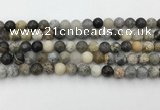 COP1601 15.5 inches 6mm round moss opal beads wholesale