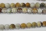 COS151 15.5 inches 6mm faceted round ocean stone beads wholesale