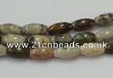 COS29 15.5 inches 6*10mm rice ocean stone beads wholesale