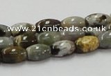 COS30 15.5 inches 8*12mm rice ocean stone beads wholesale