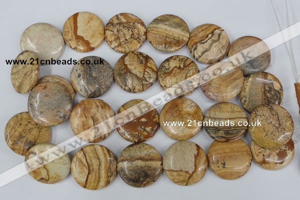CPT260 15.5 inches 30mm flat round picture jasper beads wholesale