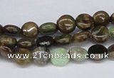 CRJ01 15.5 inches 8mm flat round african prase jasper beads wholesale