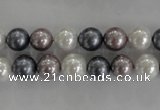 CSB1030 15.5 inches 8mm round mixed color shell pearl beads