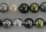CSB1086 15.5 inches 12mm round mixed color shell pearl beads