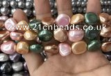CSB2158 15.5 inches 14*14mm - 15*15mm baroque mixed shell pearl beads