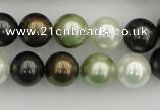 CSB362 15.5 inches 12mm round mixed color shell pearl beads